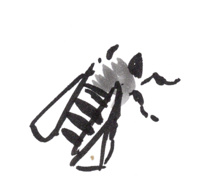 bee illustration